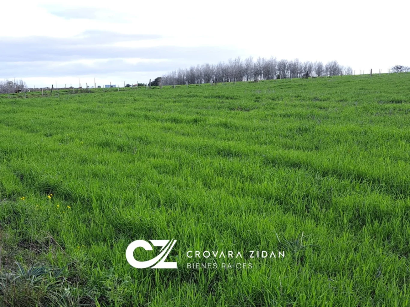 Campo en Migues, propiedad 287040 -Imagen 12