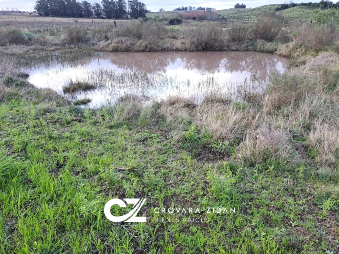 Campo en Migues, propiedad 287040 -Imagen 13