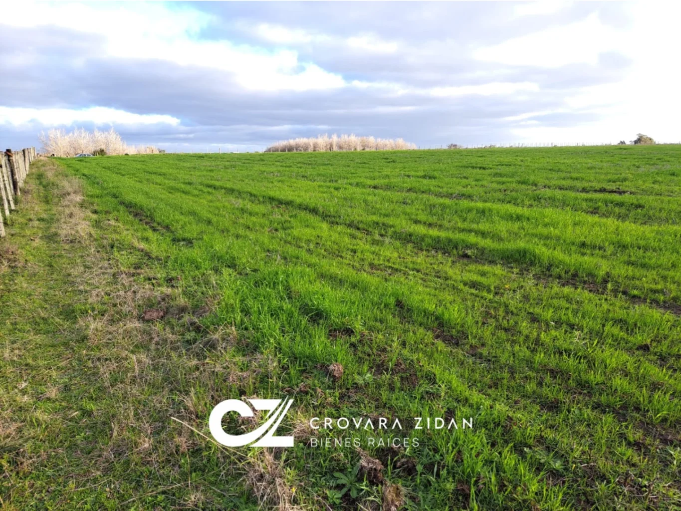 Campo en Migues, propiedad 287040 -Imagen 14