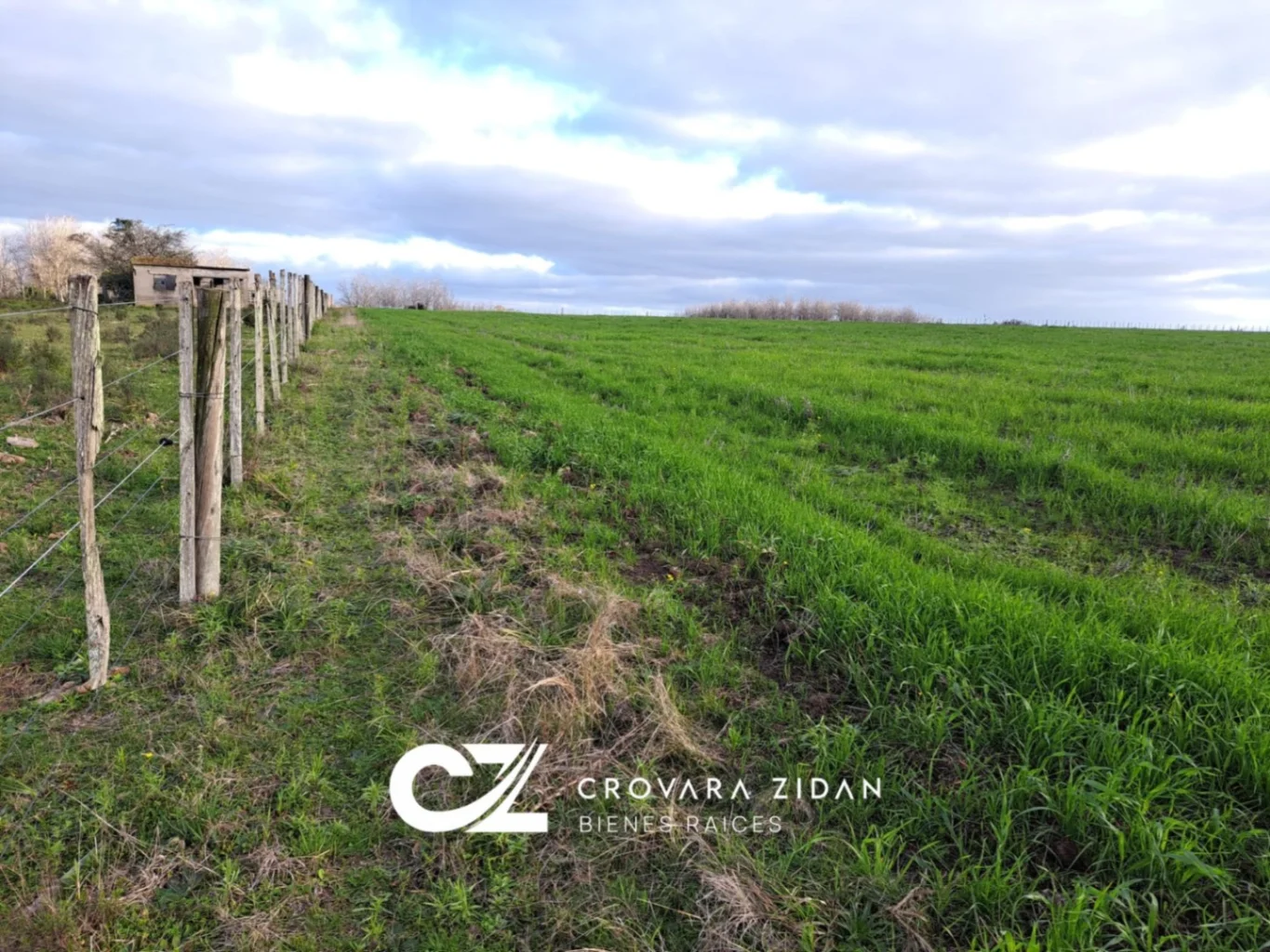 Campo en Migues, propiedad 287040 -Imagen 15
