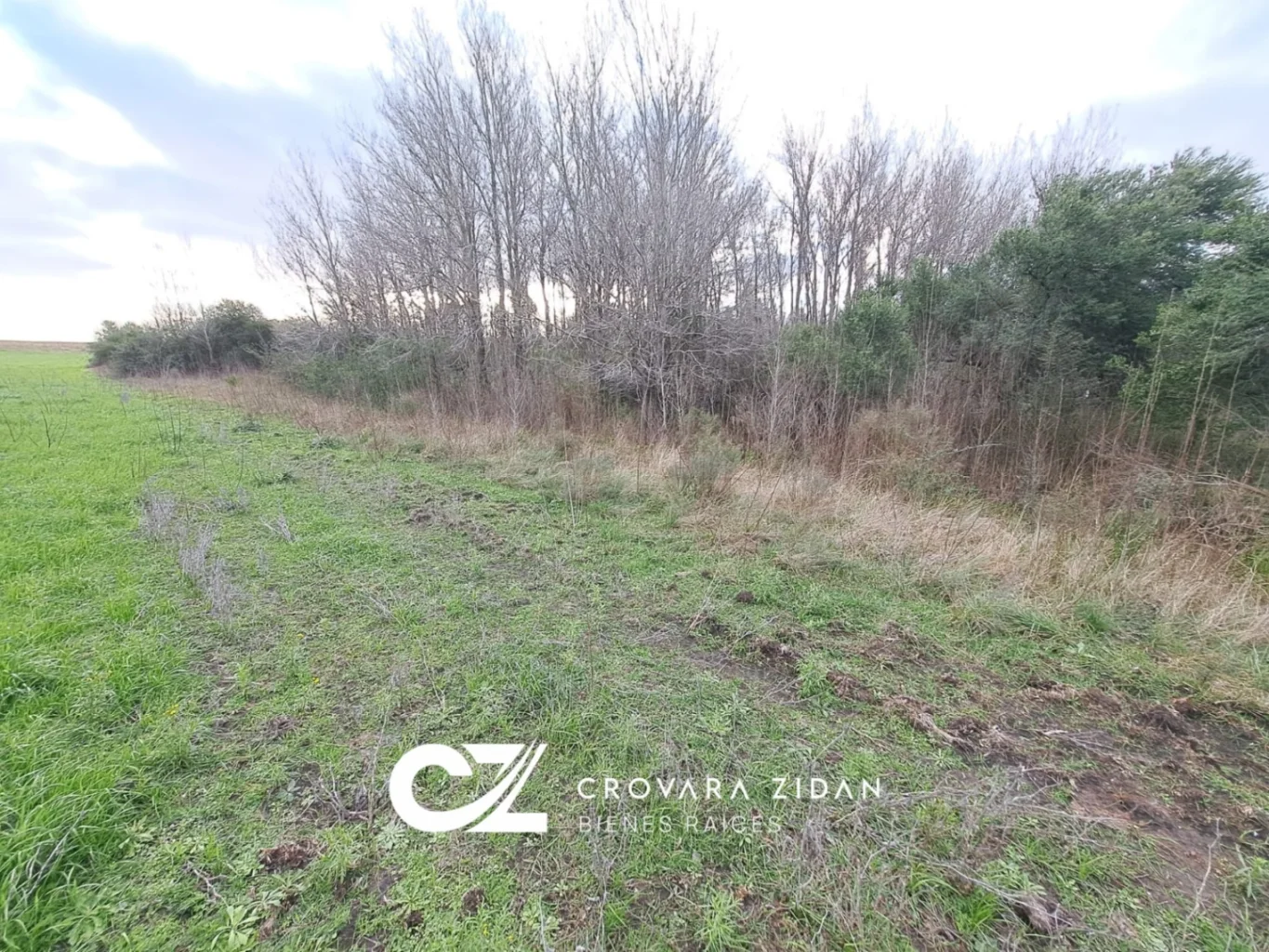Campo en Migues, propiedad 287040 -Imagen 16