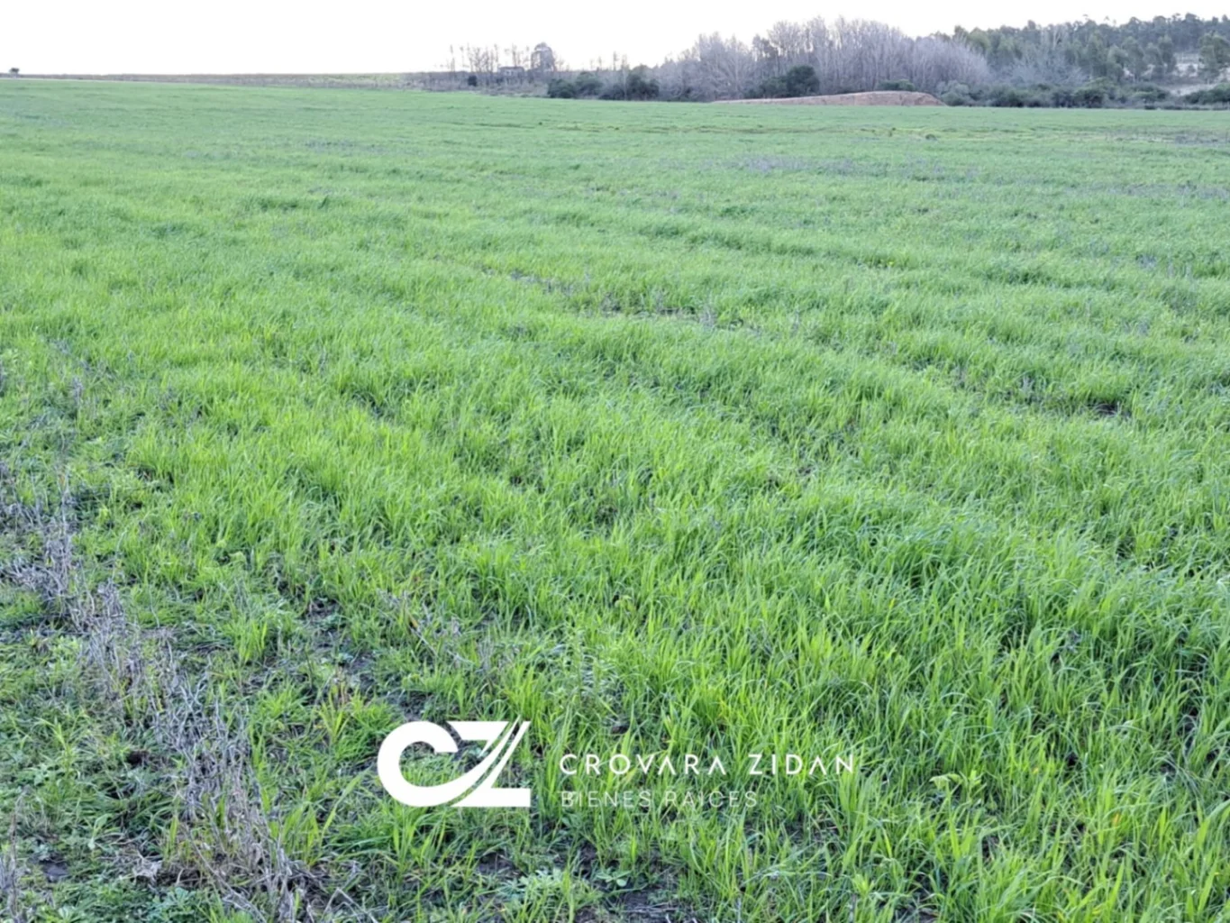 Campo en Migues, propiedad 287040 -Imagen 17
