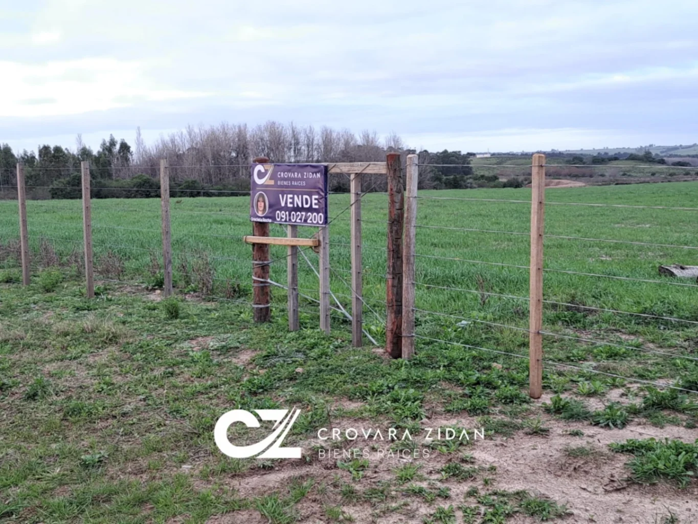 Campo en Migues, propiedad 287040 -Imagen 18