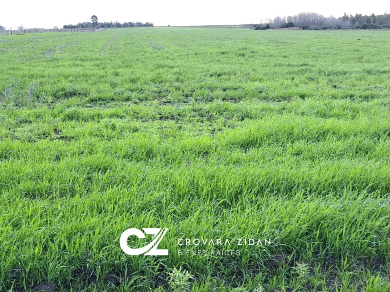 Campo en Migues, propiedad 287040 -Imagen 19