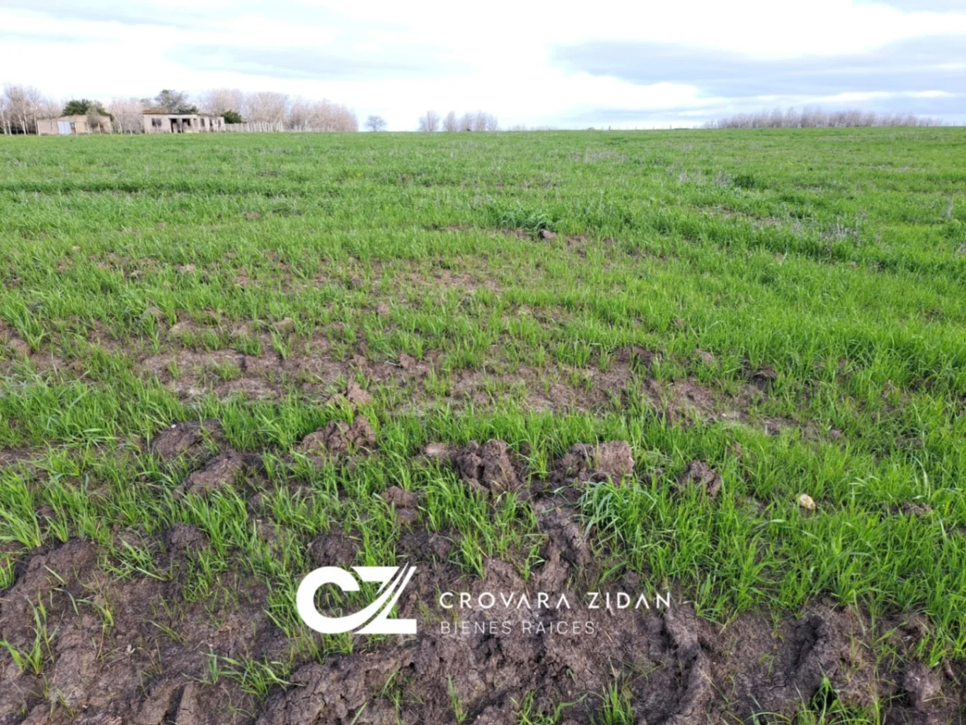 Campo en Migues, propiedad 287040 -Imagen 4