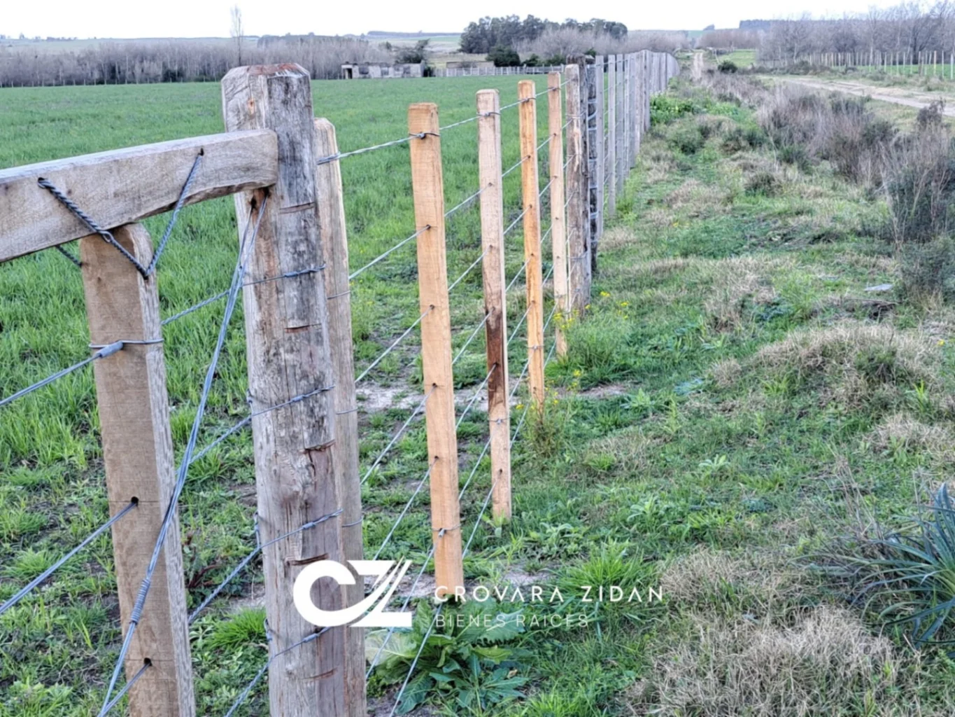 Campo en Migues, propiedad 287040 -Imagen 5