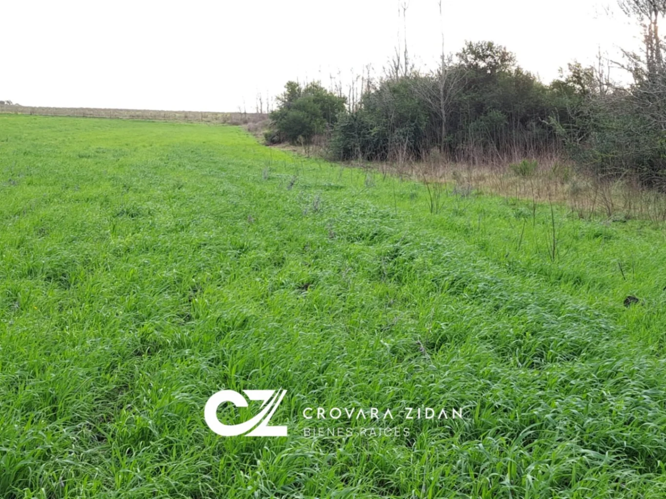 Campo en Migues, propiedad 287040 -Imagen 6