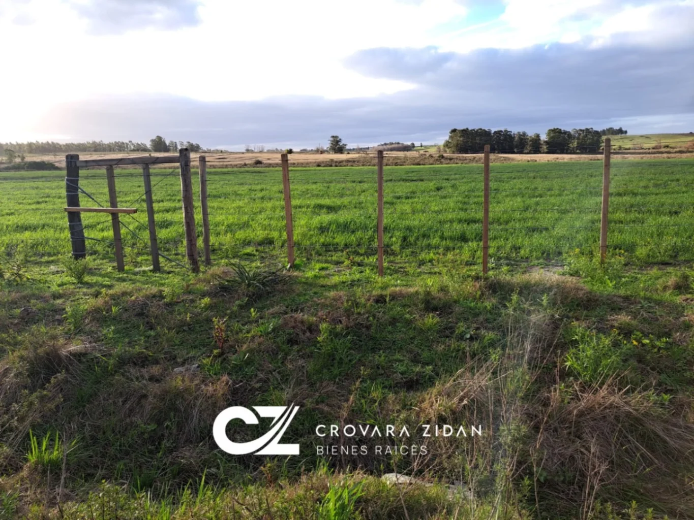 Campo en Migues, propiedad 287040 -Imagen 7