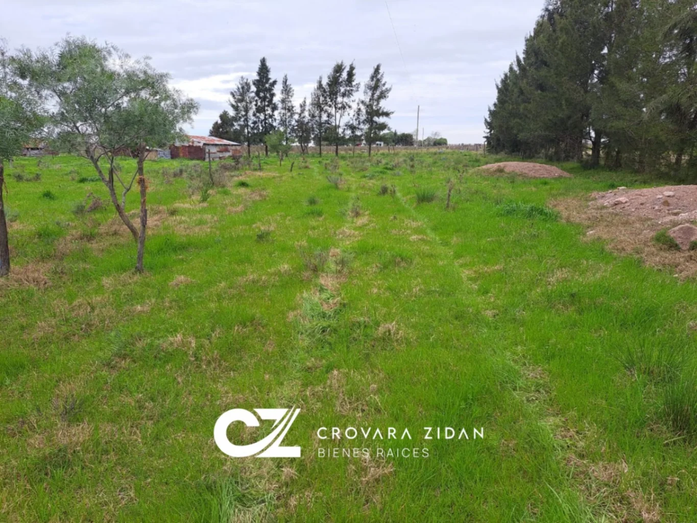 Campo en Tala, propiedad 287348 -Imagen 11