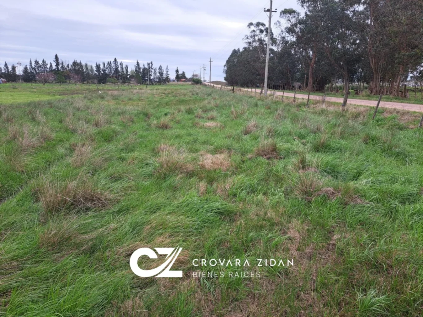 Campo en Tala, propiedad 287348 -Imagen 13