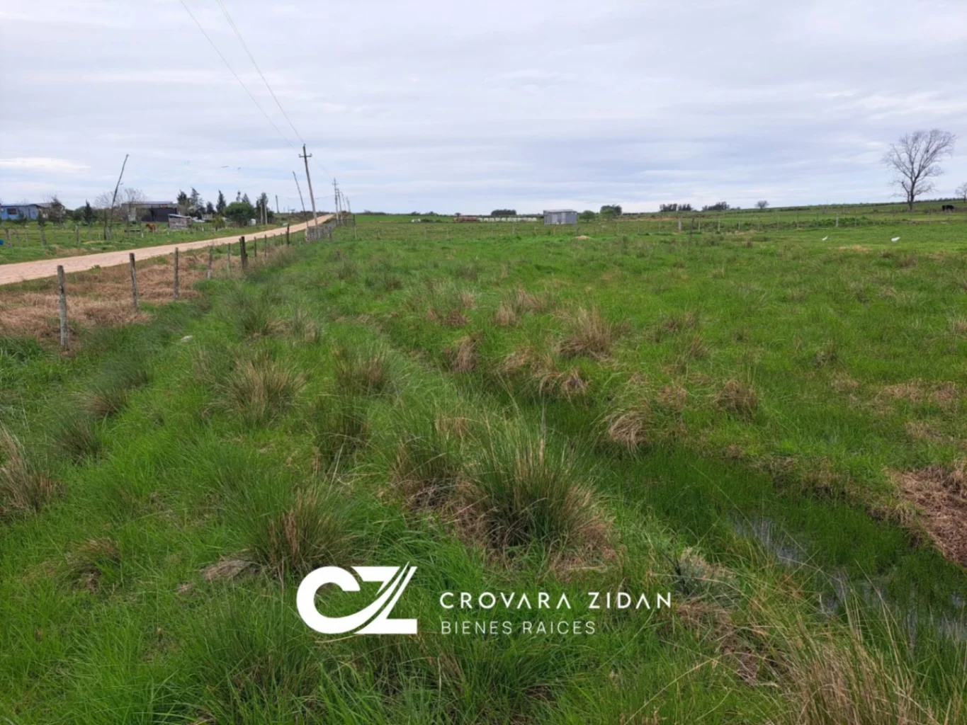 Campo en Tala, propiedad 287348 -Imagen 15