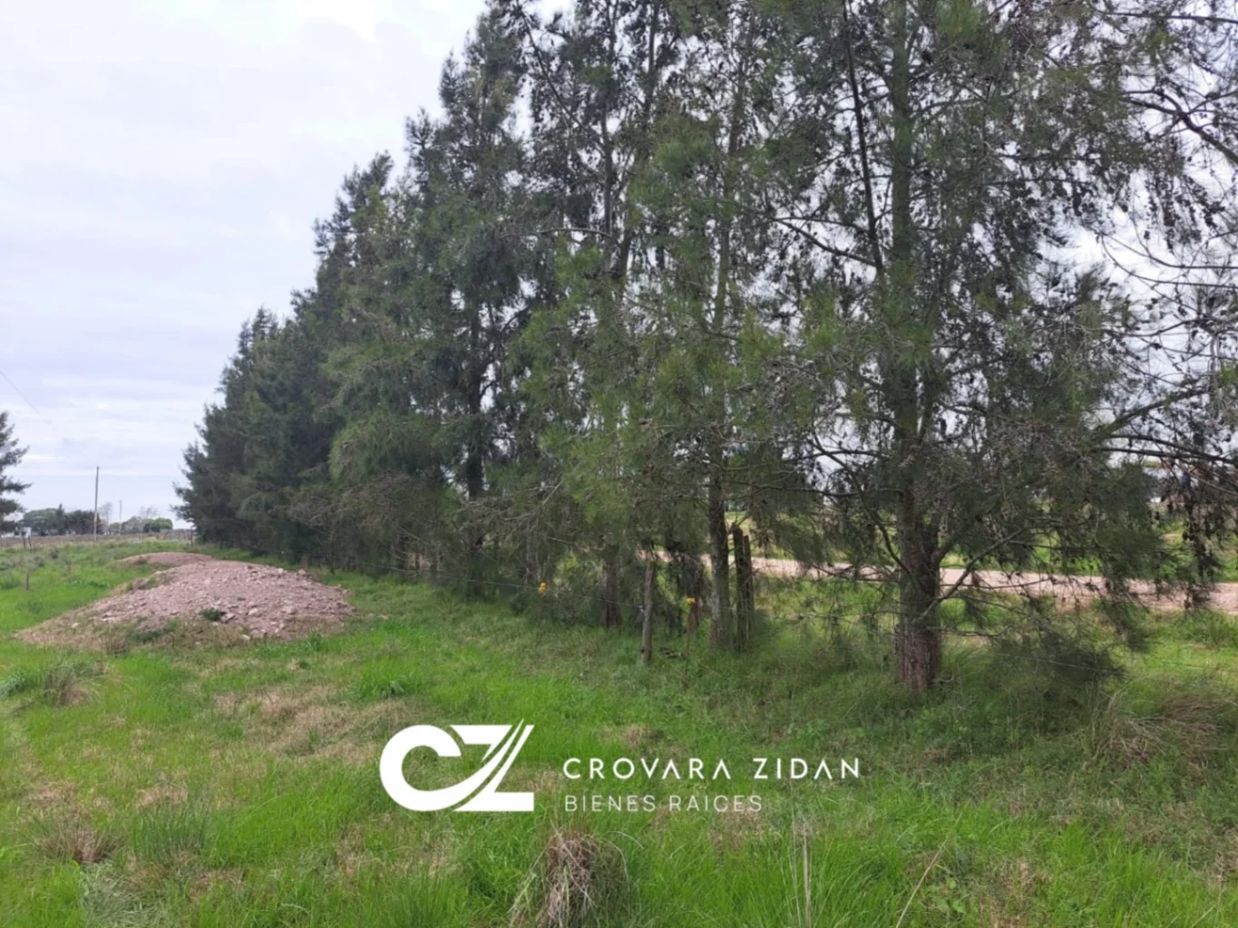Campo en Tala, propiedad 287348 -Imagen 3