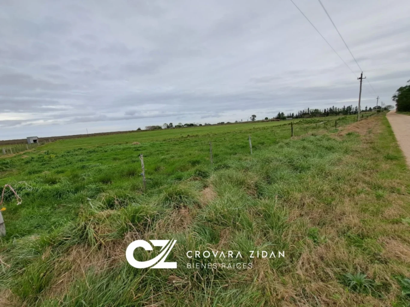 Campo en Tala, propiedad 287348 -Imagen 22