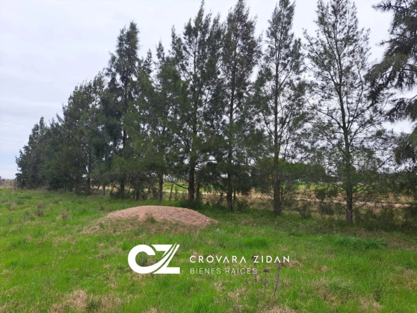 Campo en Tala, propiedad 287348 -Imagen 23