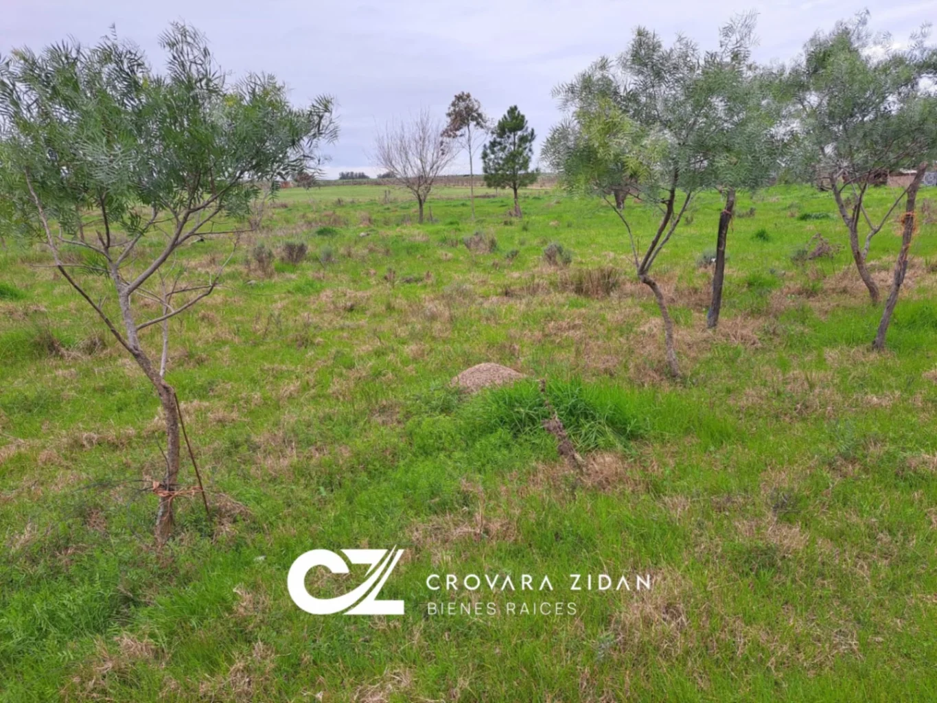Campo en Tala, propiedad 287348 -Imagen 6