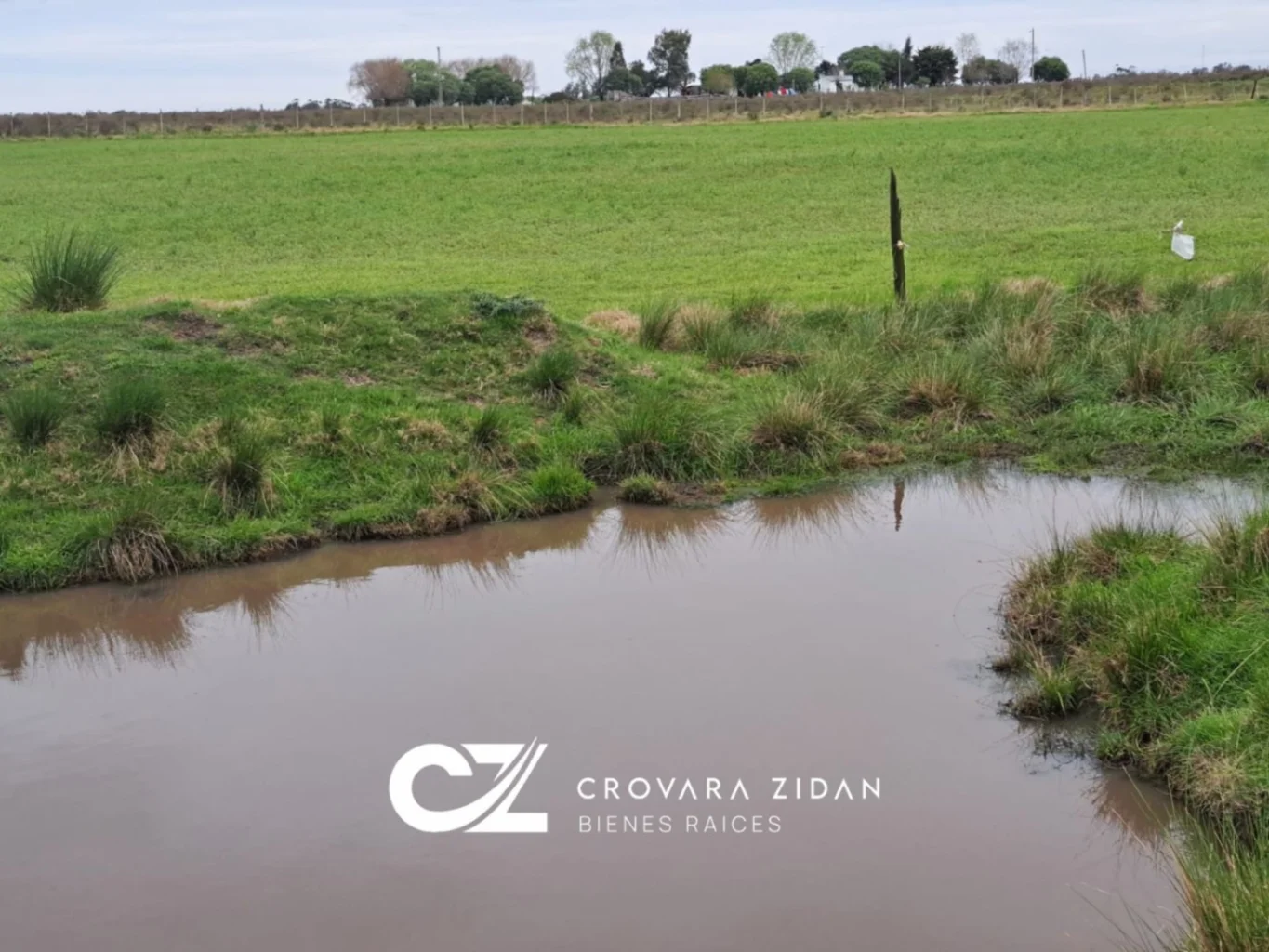 Campo en Tala, propiedad 287348 -Imagen 8