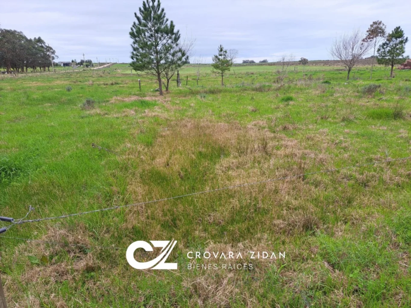 Campo en Tala, propiedad 287348 -Imagen 10