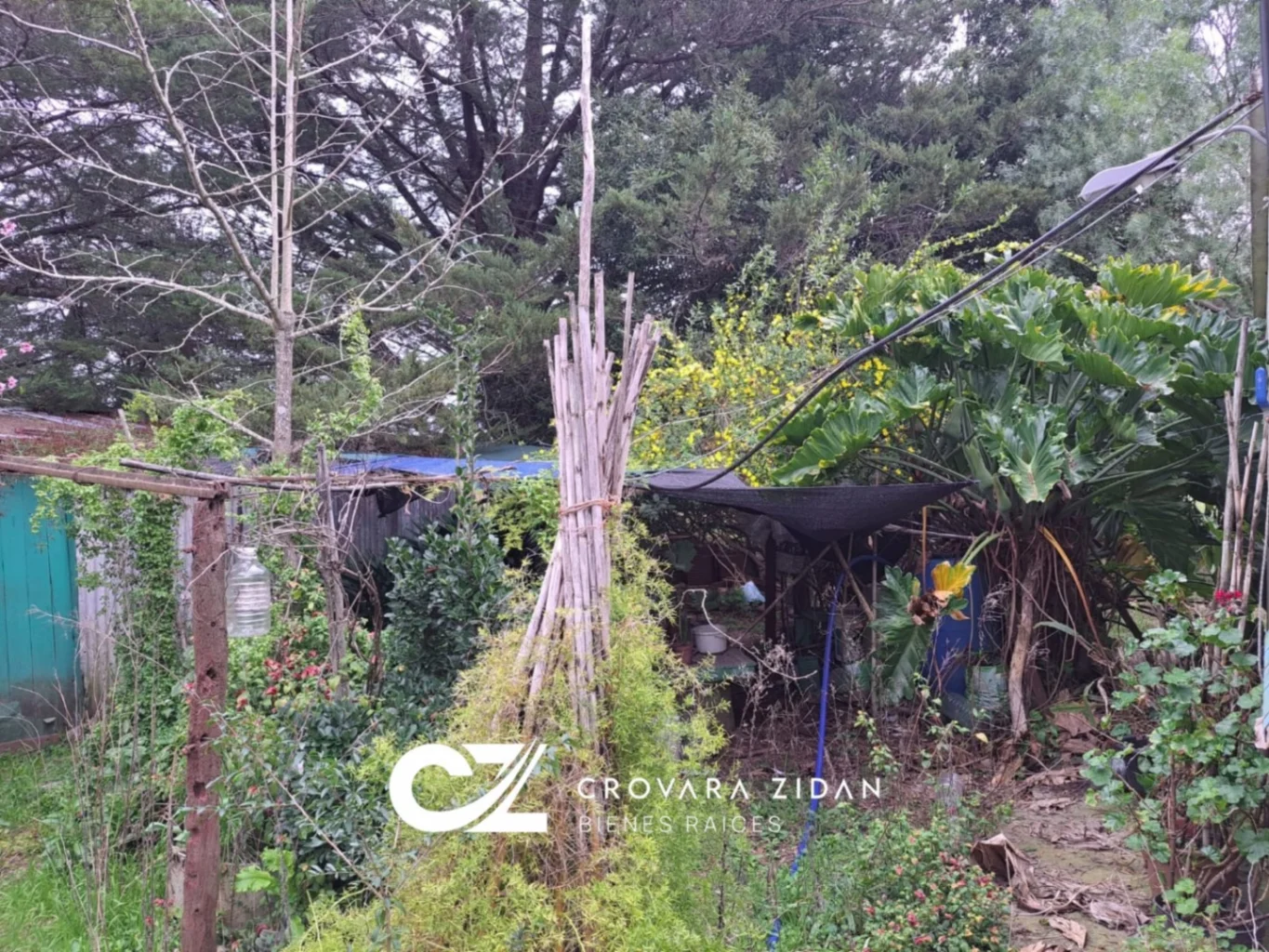 Chacra en Tala, propiedad 287354 -Imagen 11