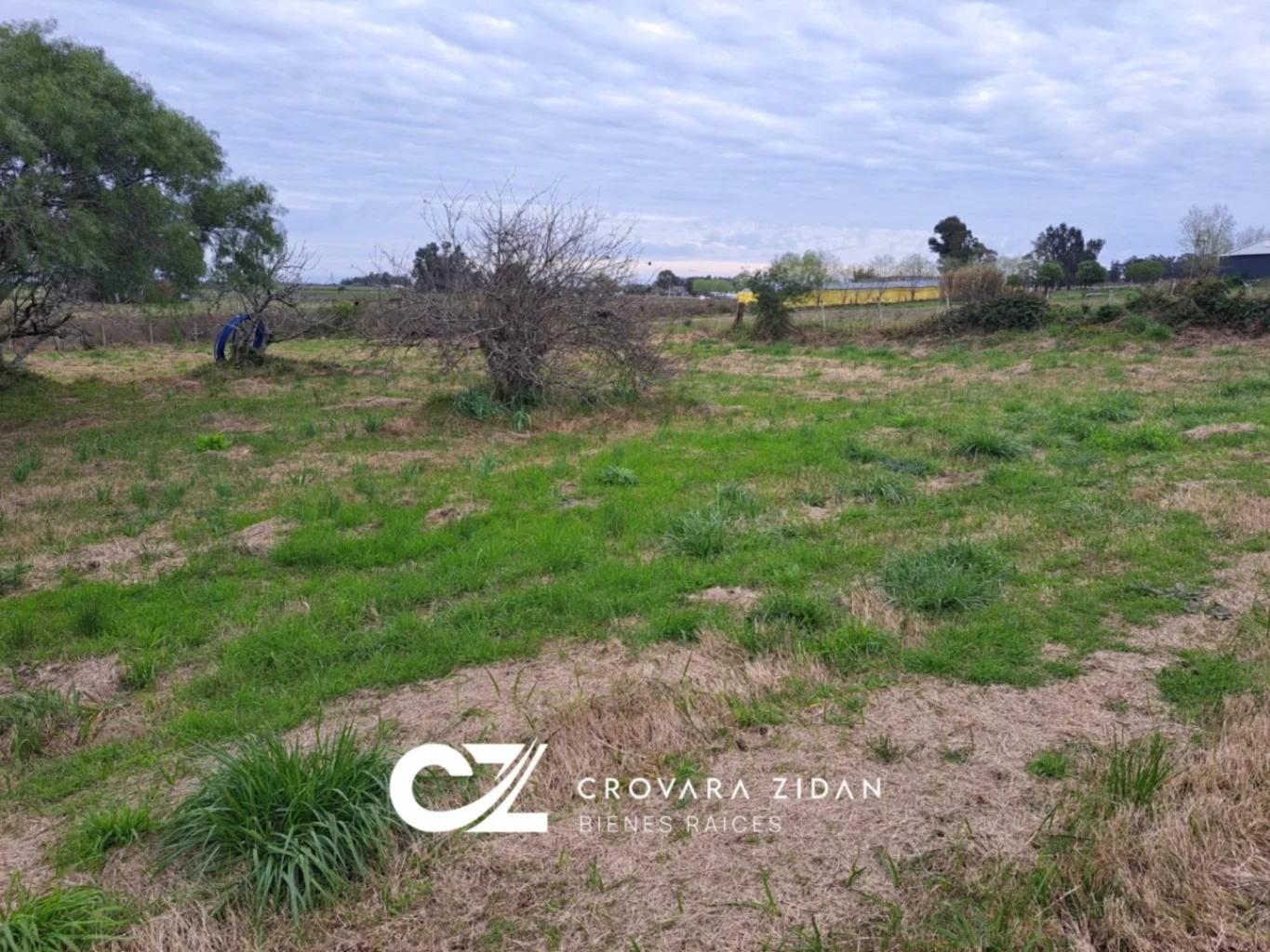 Chacra en Tala, propiedad 287354 -Imagen 13