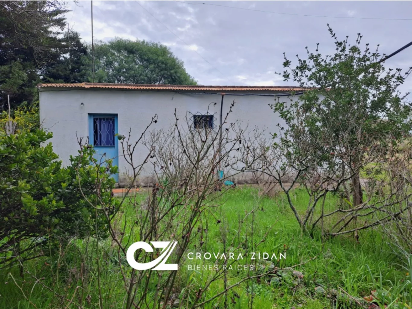 Chacra en Tala, propiedad 287354 -Imagen 3