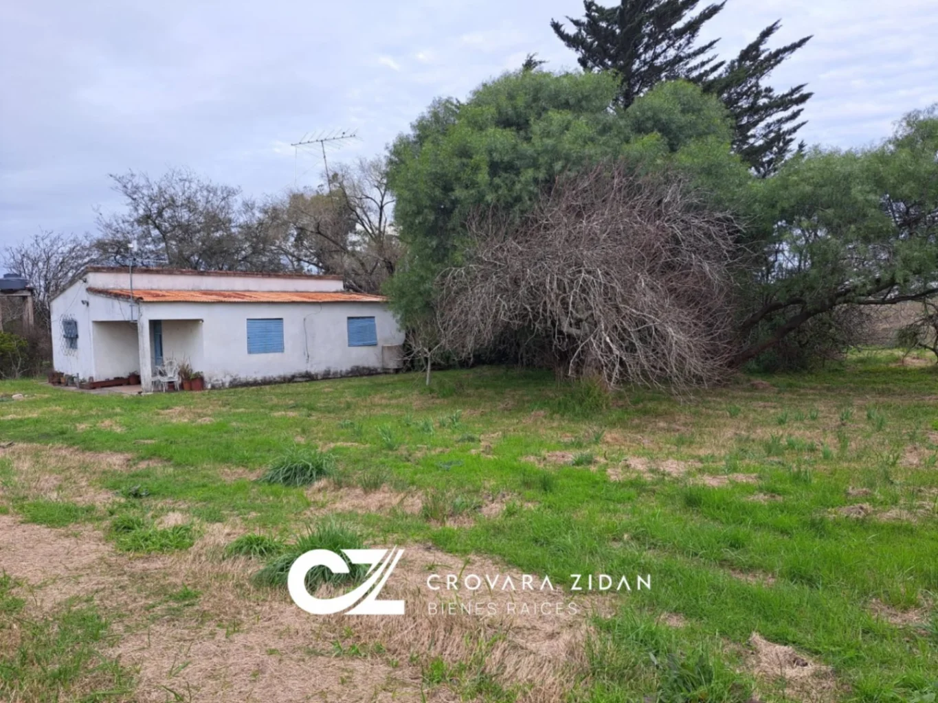 Chacra en Tala, propiedad 287354 -Imagen 4
