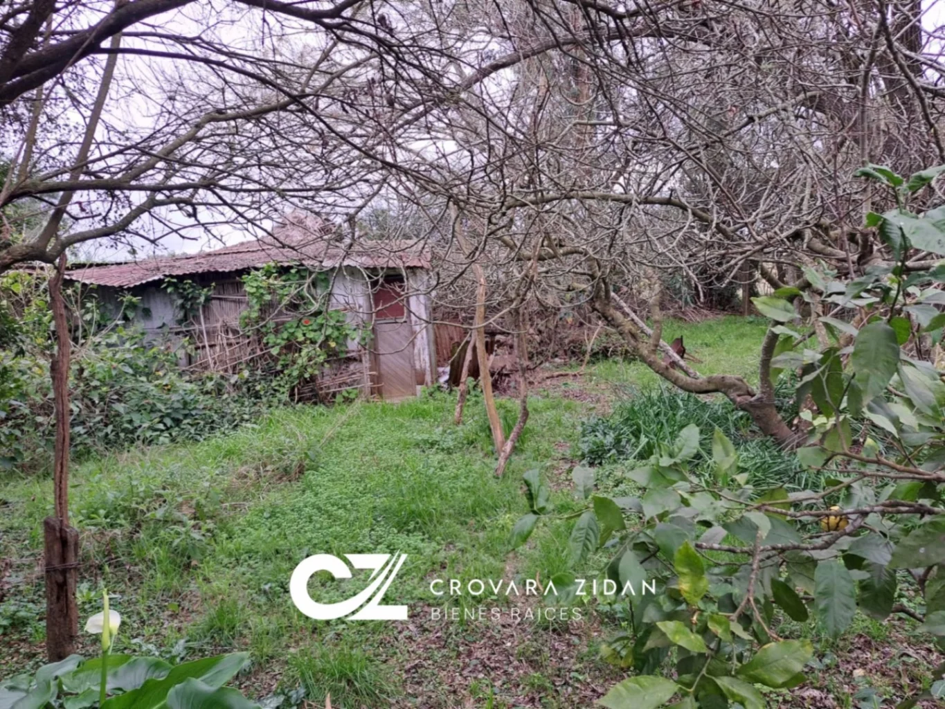 Chacra en Tala, propiedad 287354 -Imagen 7