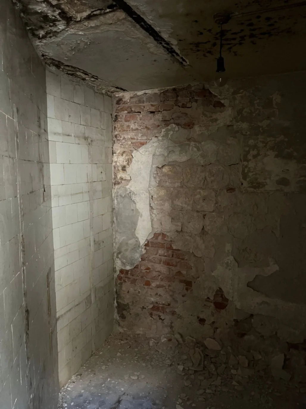 Casa en Parque Rodó, propiedad 288888 -Imagen 21