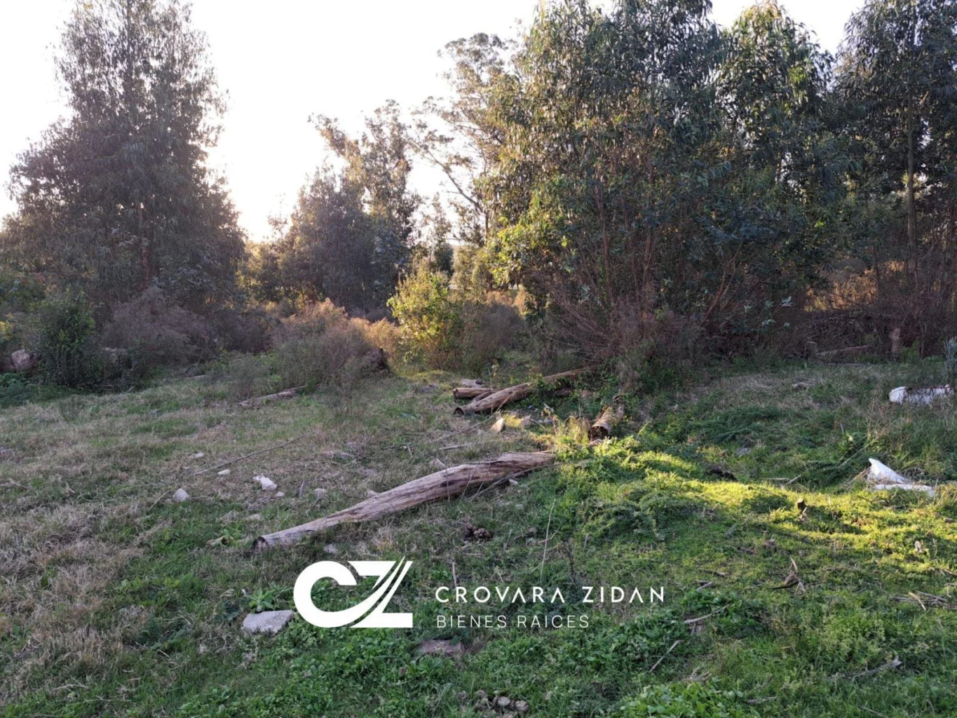 Terreno en Migues, propiedad 291161 -Imagen 12