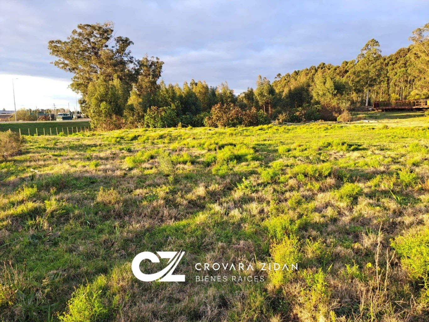 Terreno en Migues, propiedad 291161 -Imagen 18