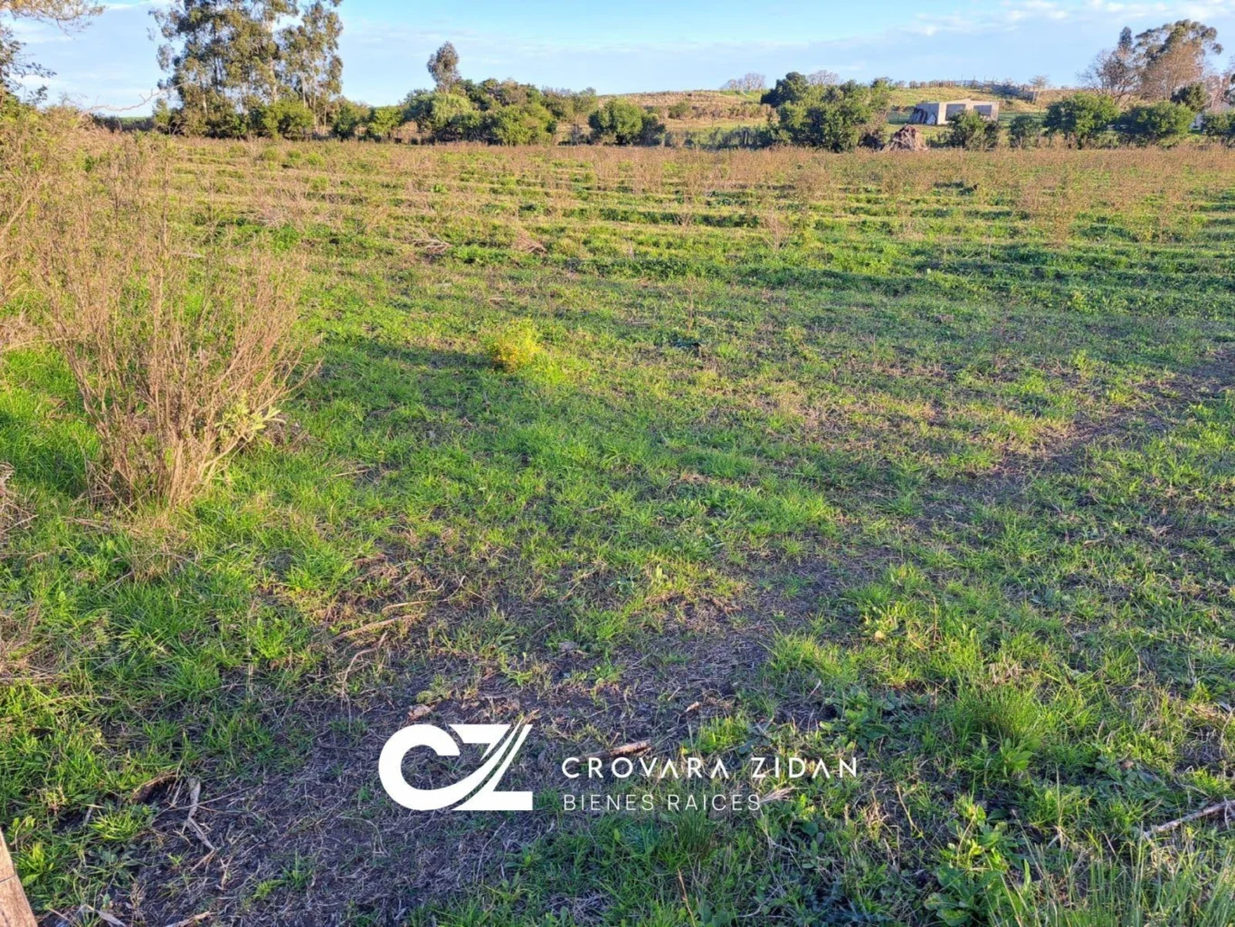 Campo en Migues, propiedad 292715 -Imagen 2