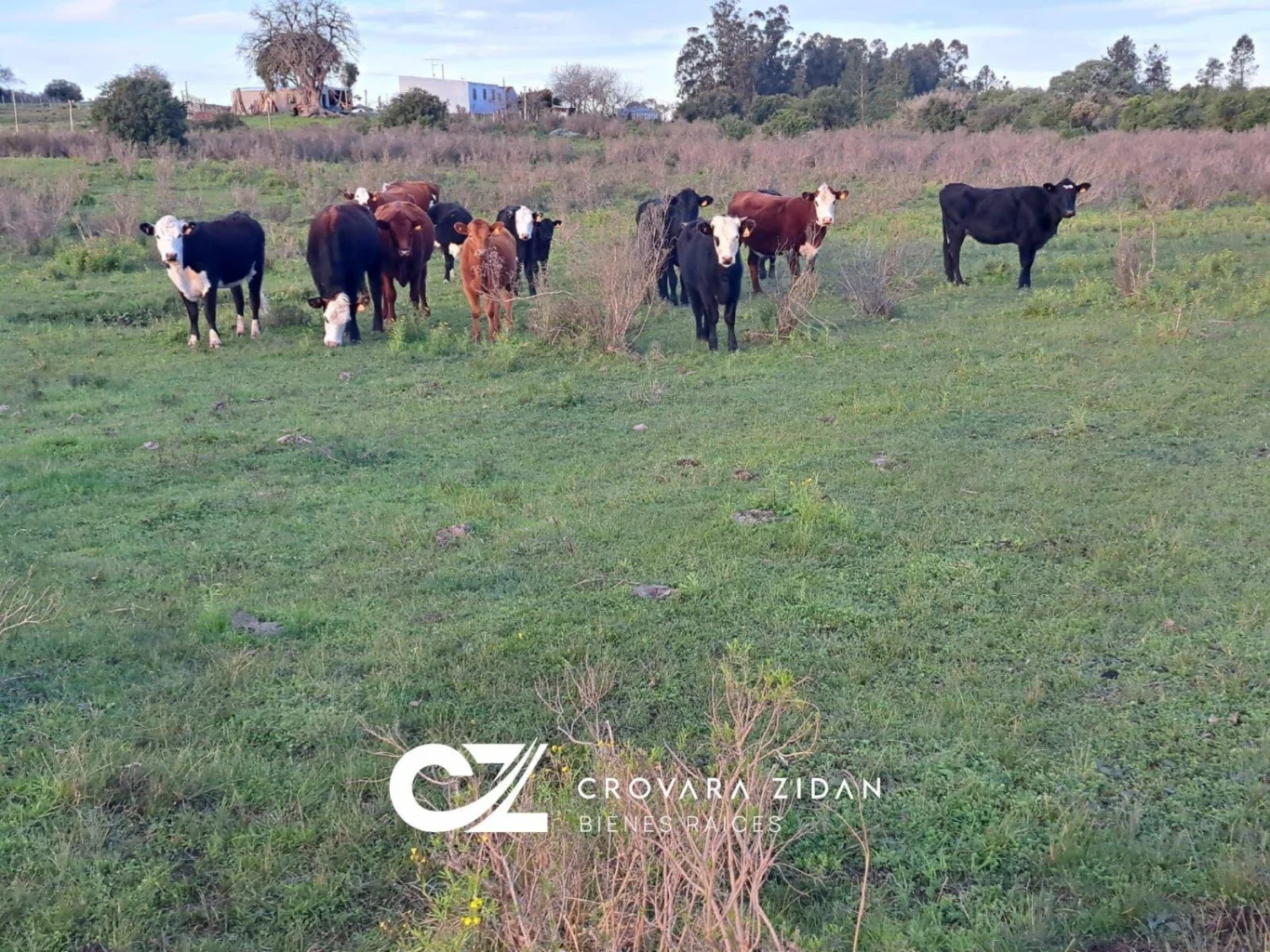 Campo en Migues, propiedad 292715 -Imagen 15