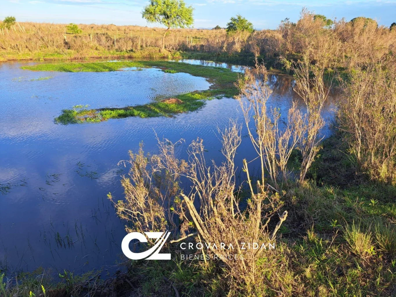 Campo en Migues, propiedad 292715 -Imagen 16