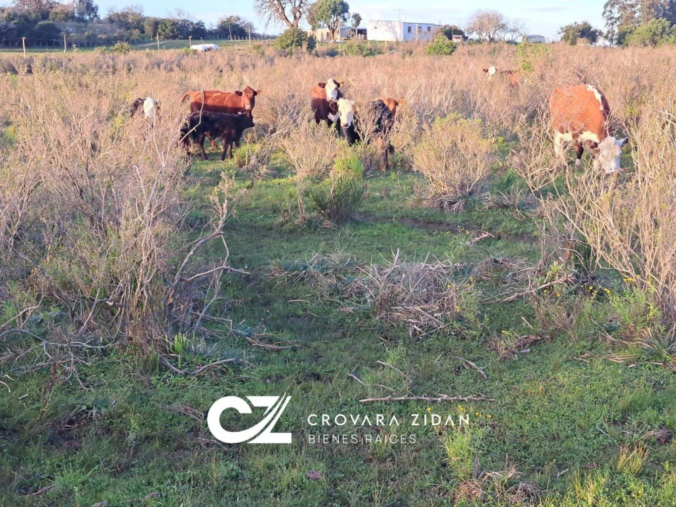 Campo en Migues, propiedad 292715 -Imagen 17
