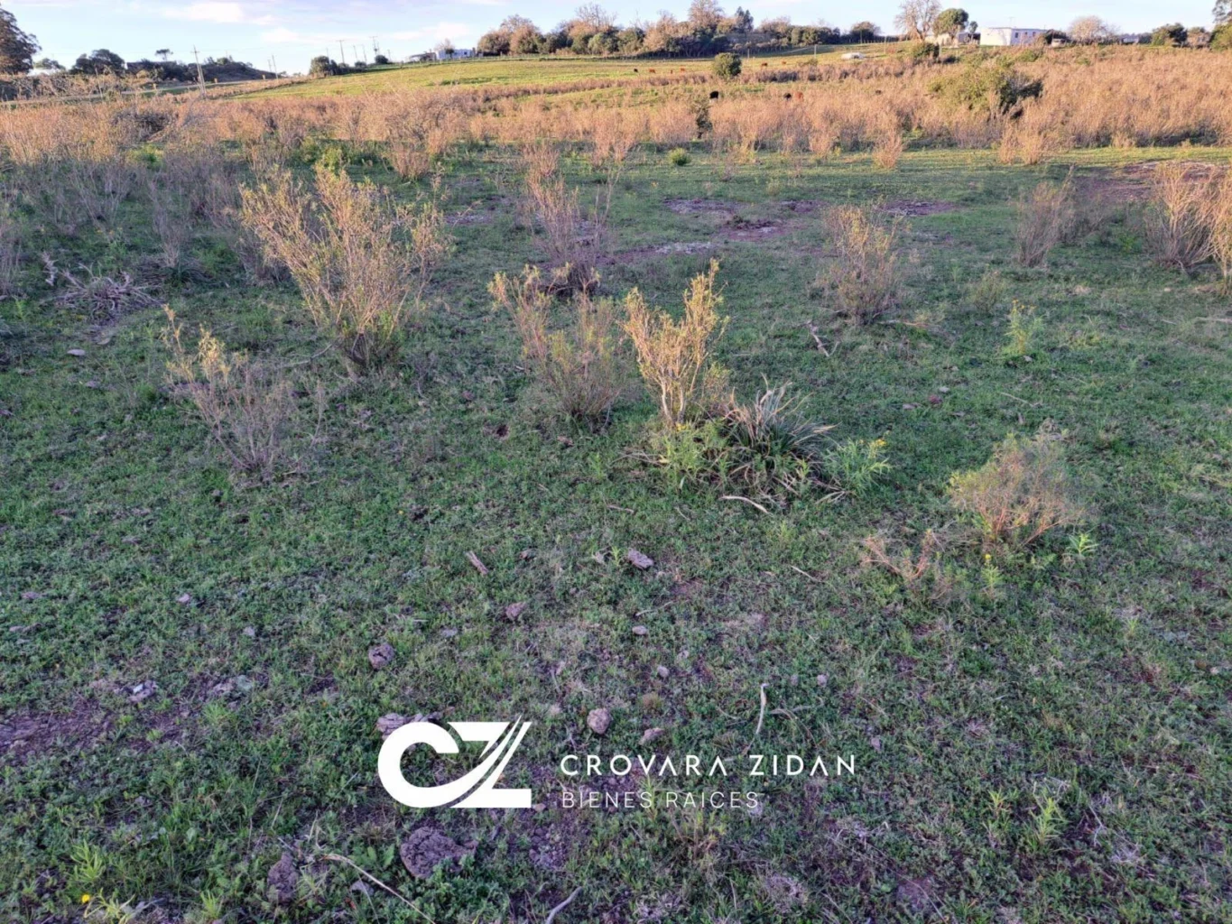Campo en Migues, propiedad 292715 -Imagen 20
