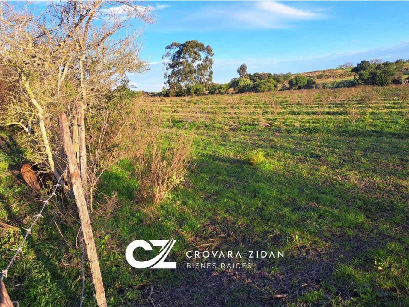 Campo en Migues, propiedad 292715 -Imagen 5