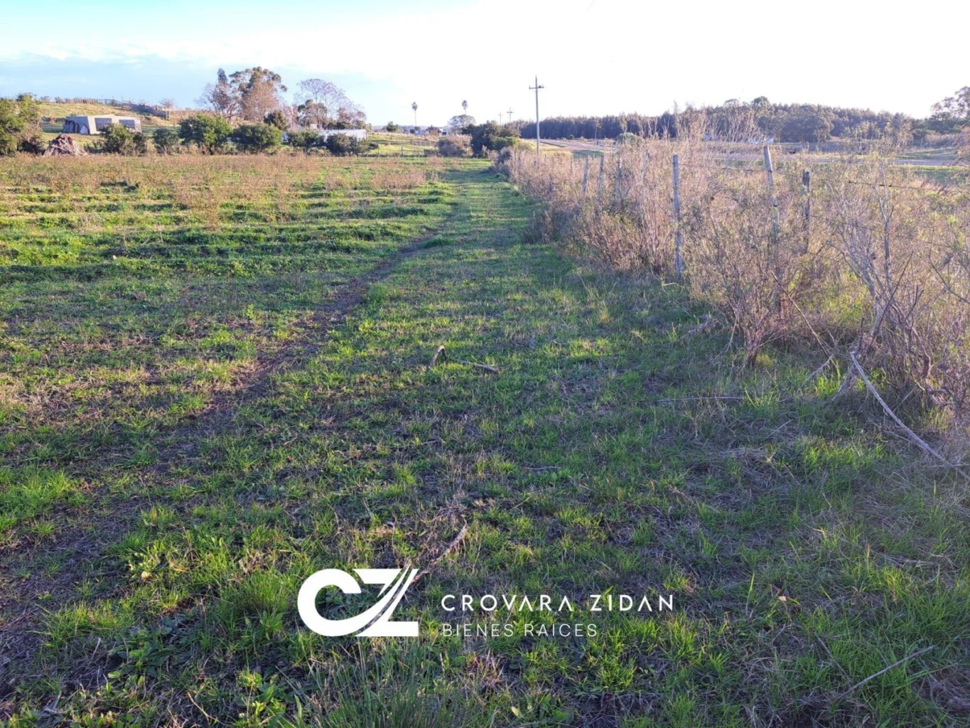 Campo en Migues, propiedad 292715 -Imagen 7