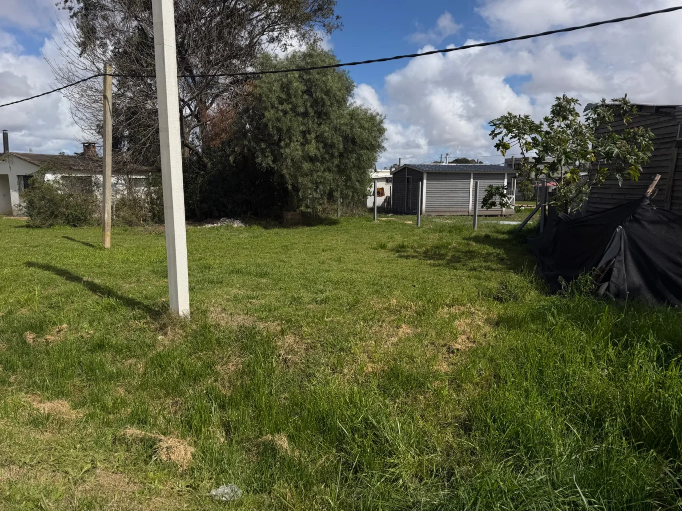 Terreno en San Luis, propiedad 292819 -Imagen 6
