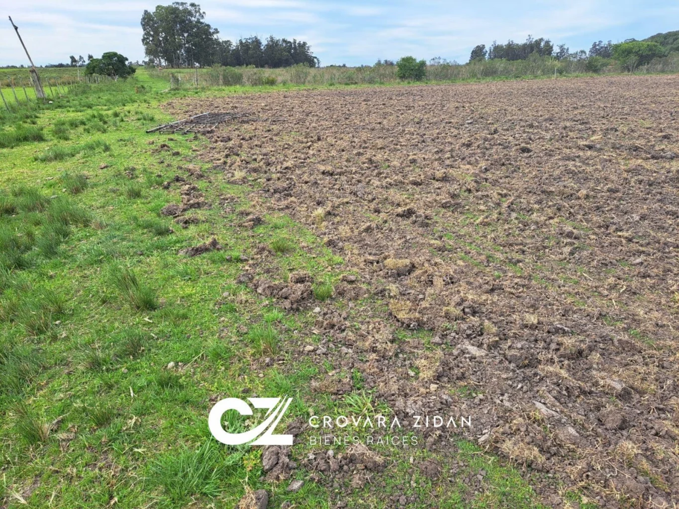 Campo en Santa Rosa, propiedad 296452 -Imagen 11
