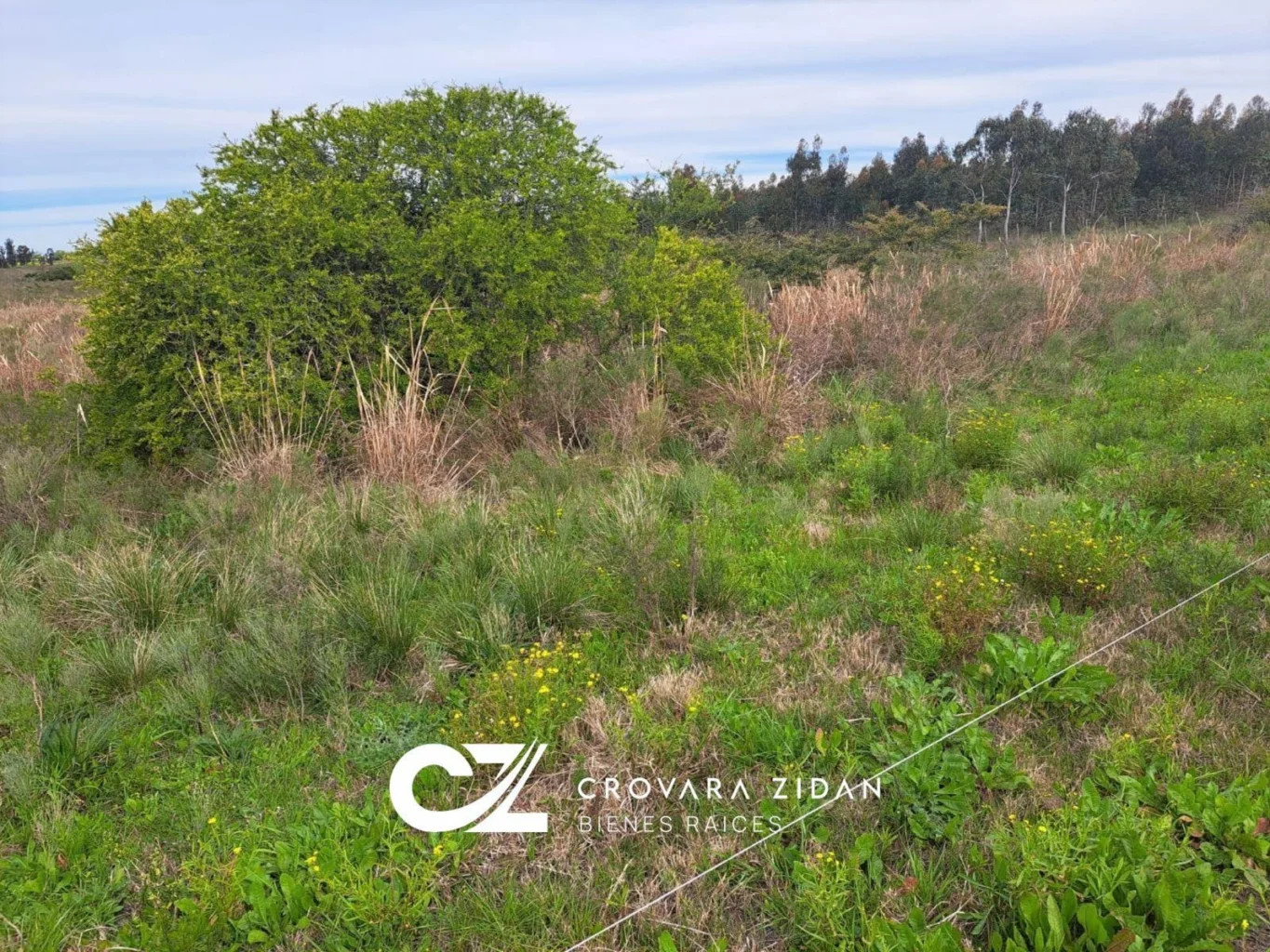 Campo en Santa Rosa, propiedad 296452 -Imagen 12