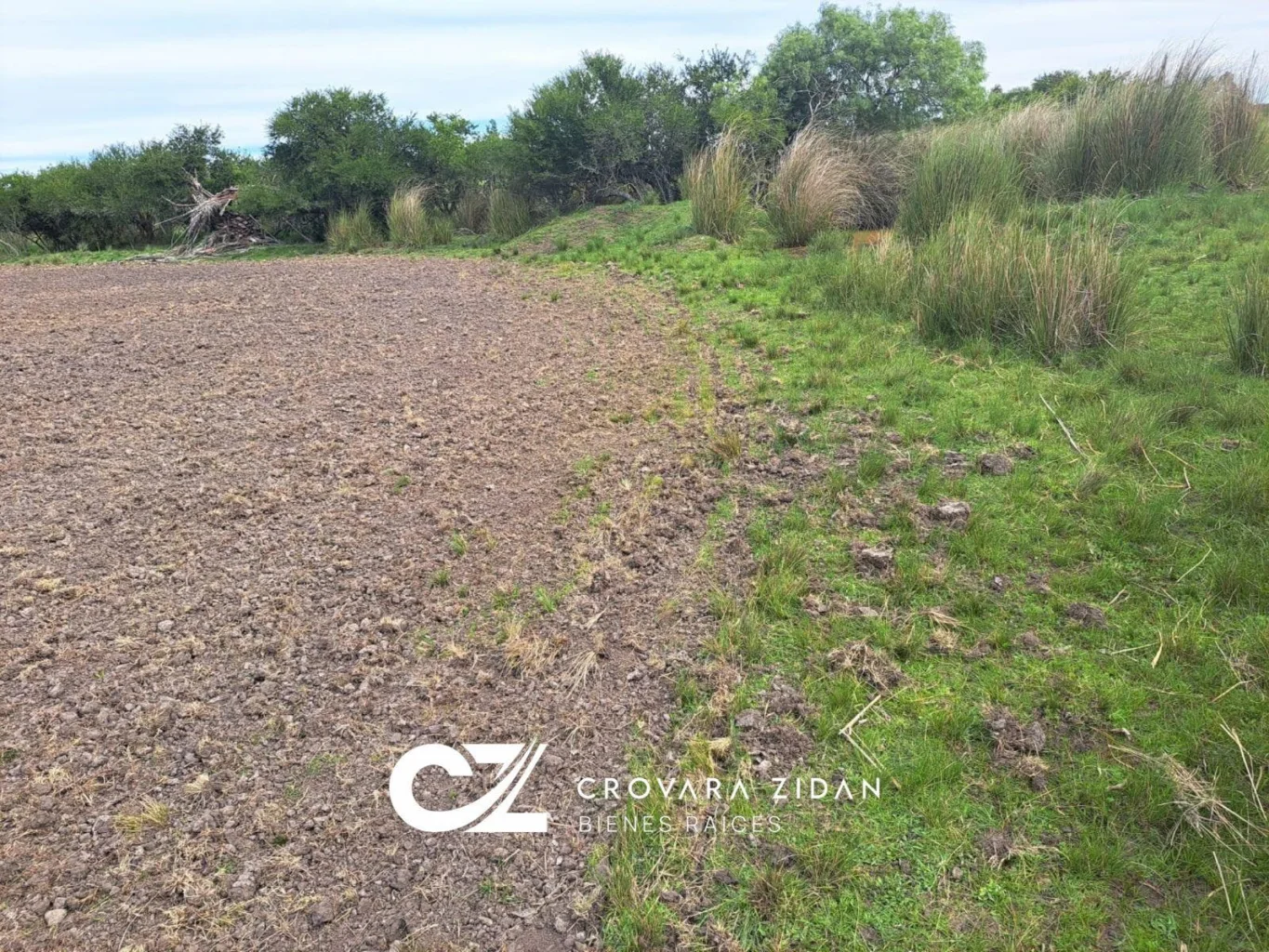 Campo en Santa Rosa, propiedad 296452 -Imagen 13