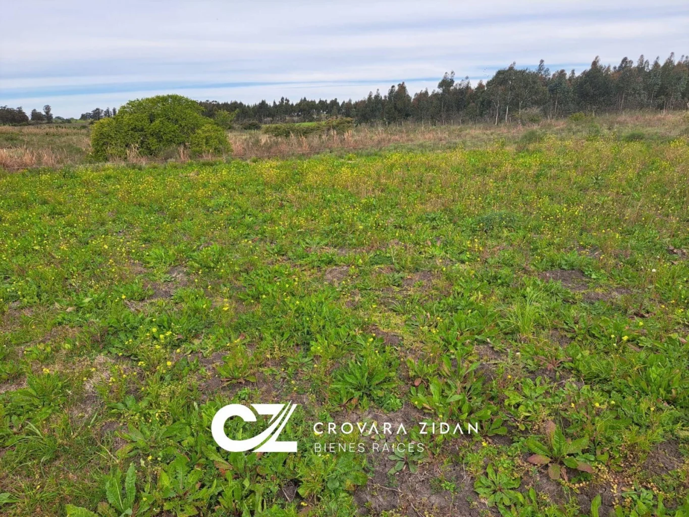 Campo en Santa Rosa, propiedad 296452 -Imagen 14