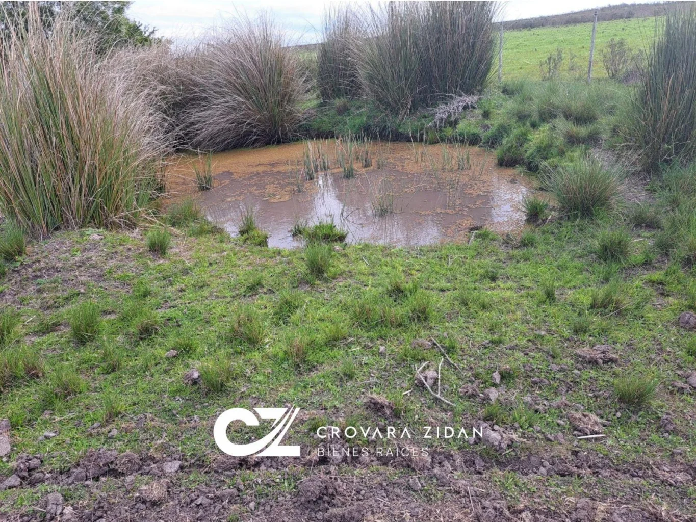 Campo en Santa Rosa, propiedad 296452 -Imagen 15