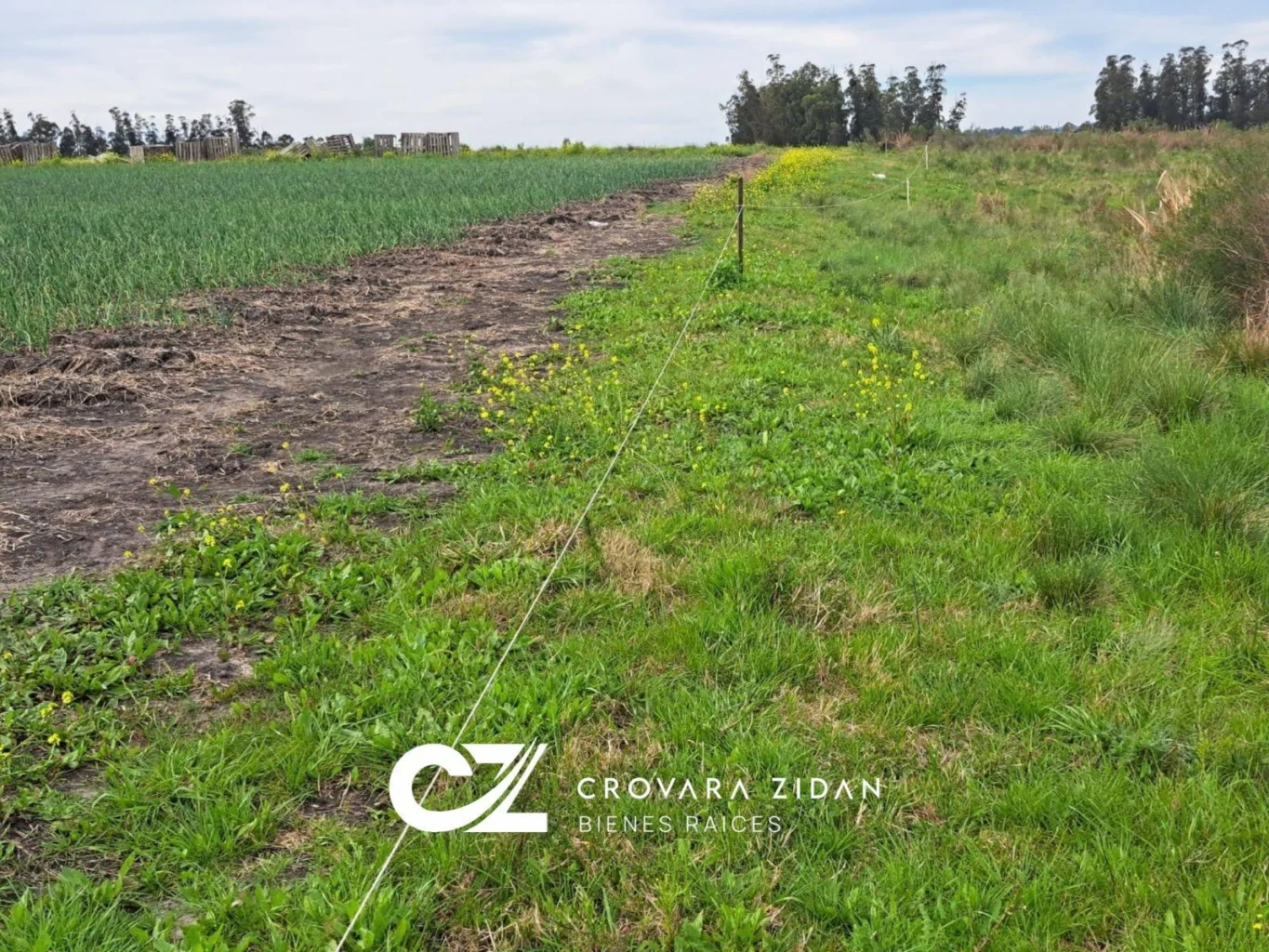 Campo en Santa Rosa, propiedad 296452 -Imagen 17