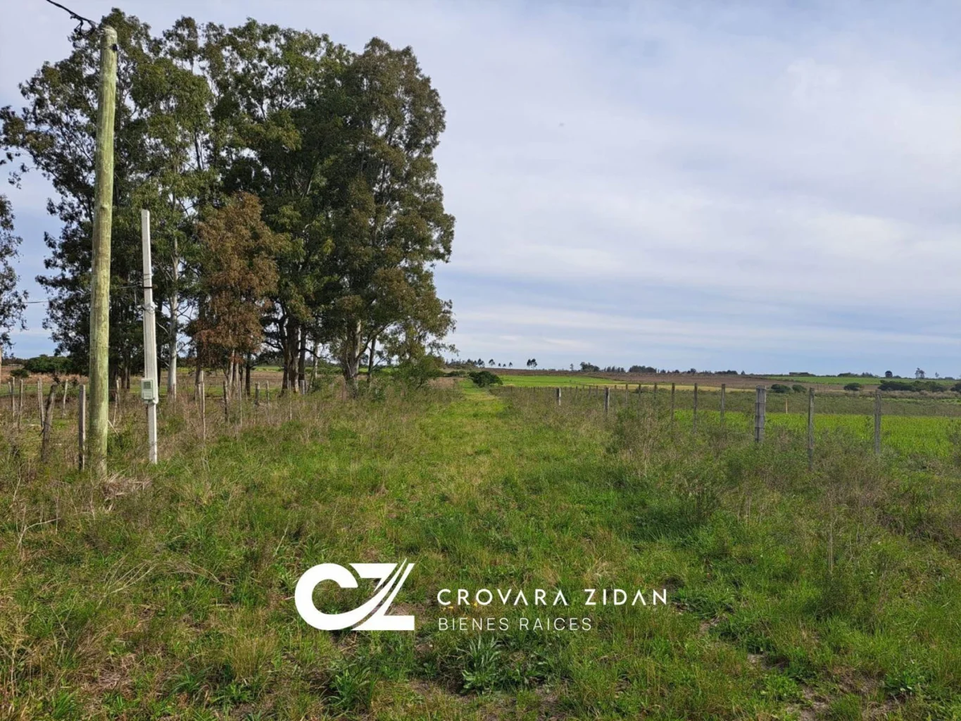 Campo en Santa Rosa, propiedad 296452 -Imagen 3