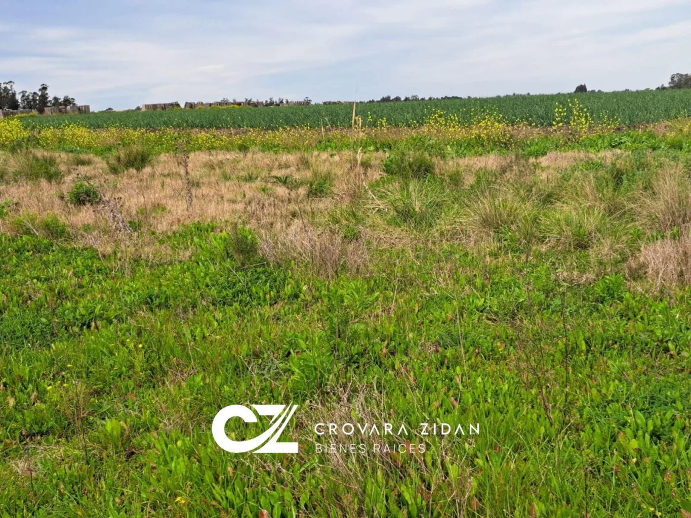 Campo en Santa Rosa, propiedad 296452 -Imagen 19