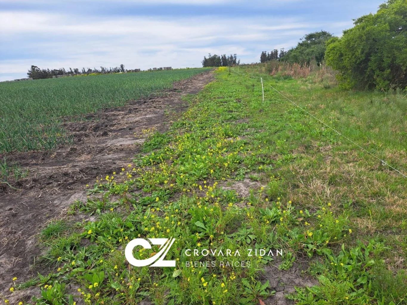 Campo en Santa Rosa, propiedad 296452 -Imagen 20