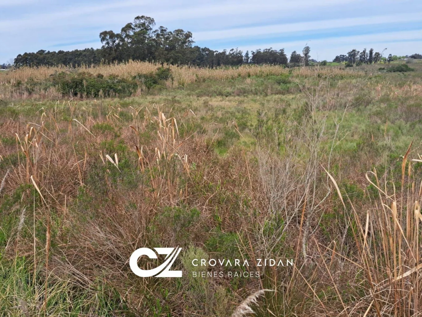 Campo en Santa Rosa, propiedad 296452 -Imagen 21