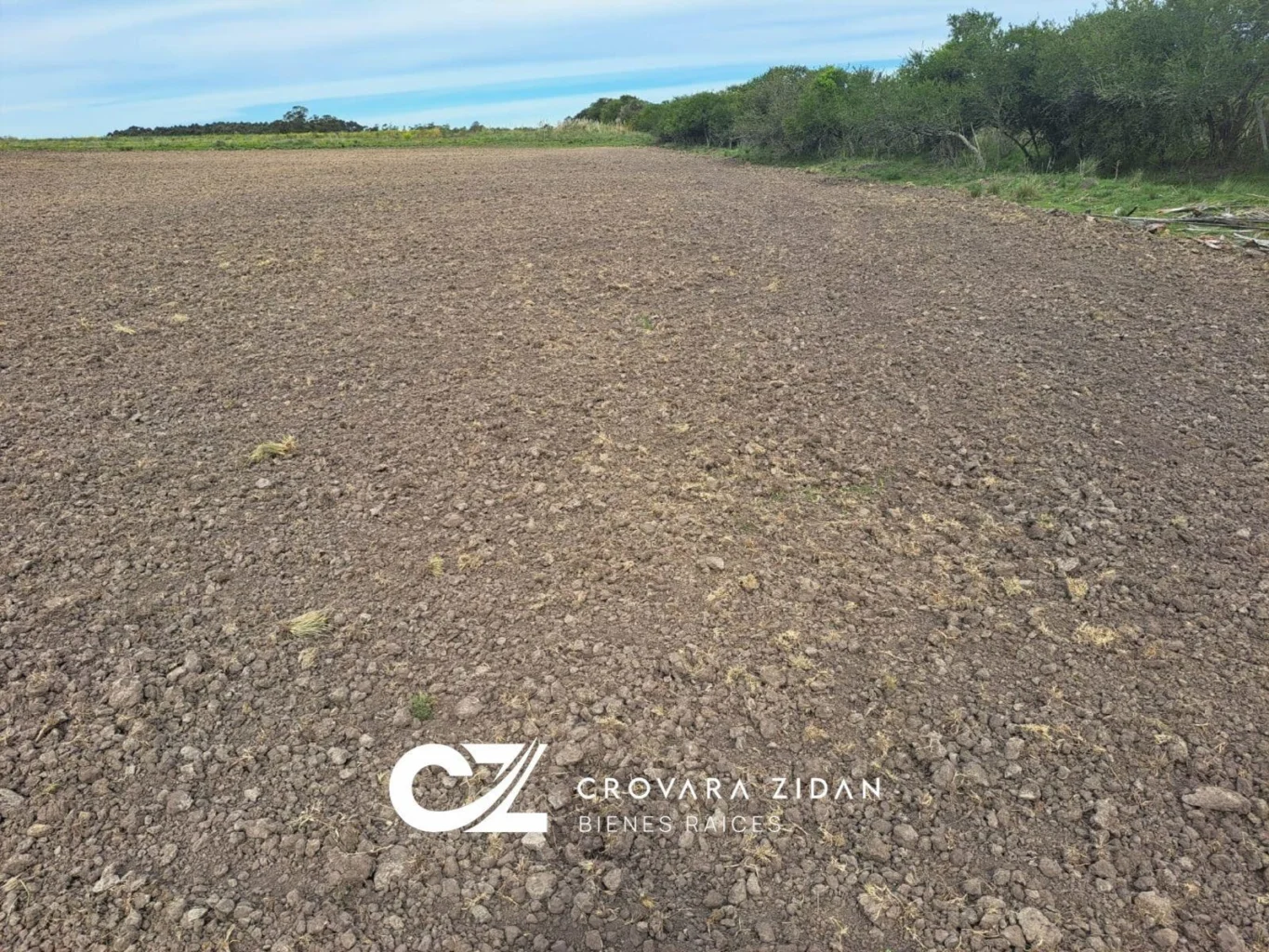 Campo en Santa Rosa, propiedad 296452 -Imagen 5