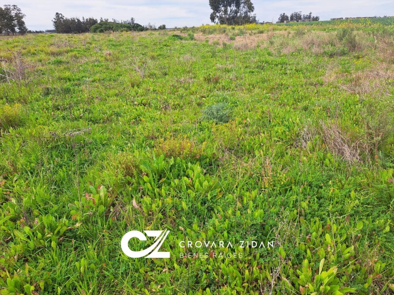 Campo en Santa Rosa, propiedad 296452 -Imagen 6