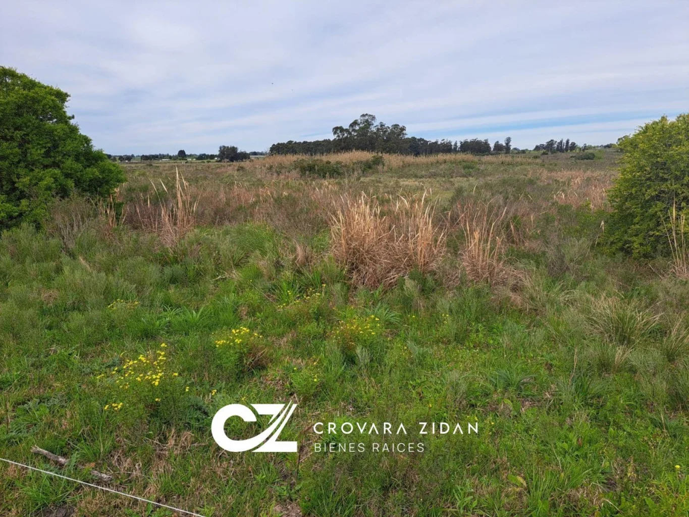 Campo en Santa Rosa, propiedad 296452 -Imagen 9